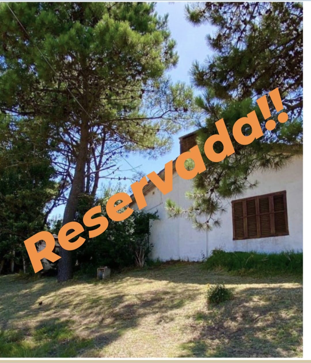 Chalet Tradicional Mas Monoambiente